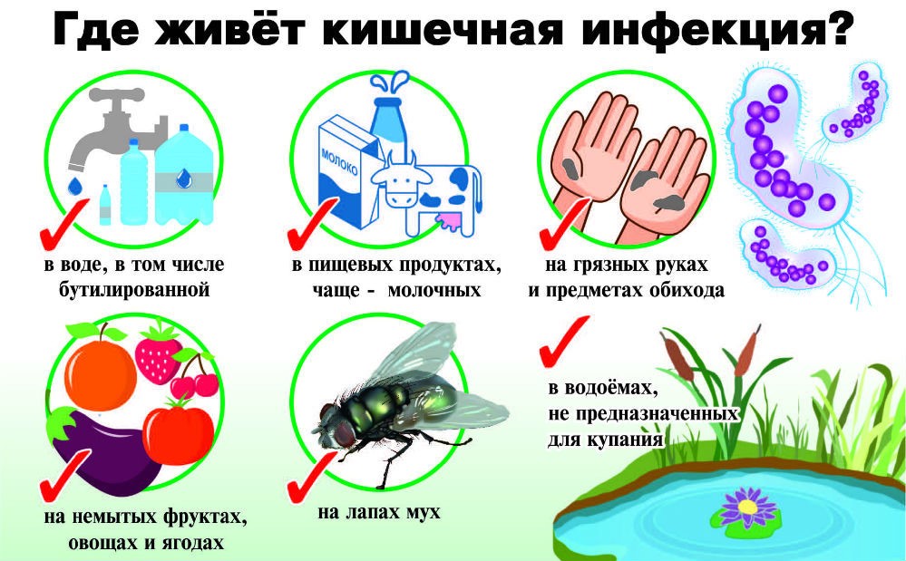 Профилактика острой кишечной инфекции