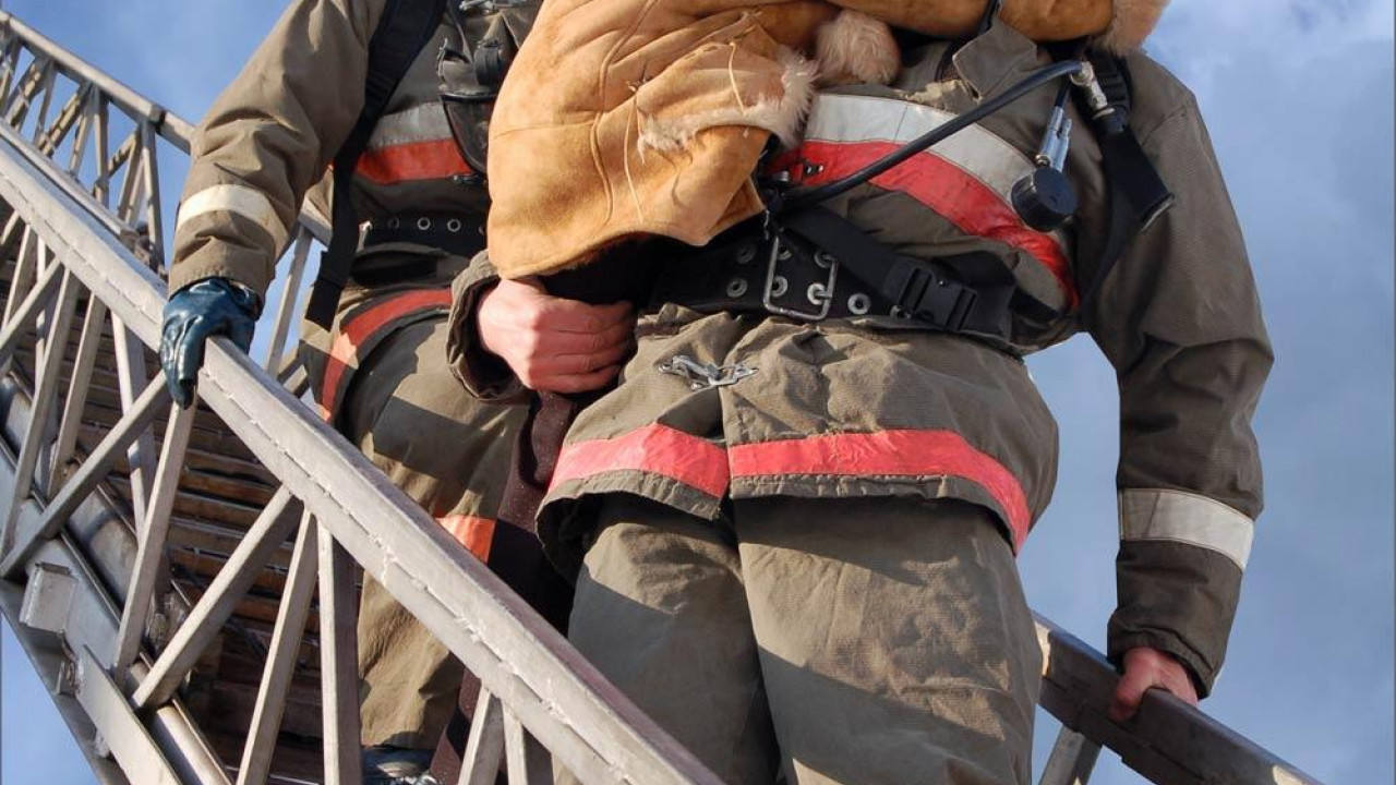 Мчс спасает. Основные обязанности спасателя. Спасать людей предложение. Тема для презентации мчс. Спасательные жилеты и шлюпки.