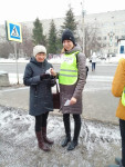 Родители на страже безопасности