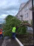 Все коммунальные службы города, начиная с прошедшего вечера, занимаются ликвидацией последствий шквалистого ветра