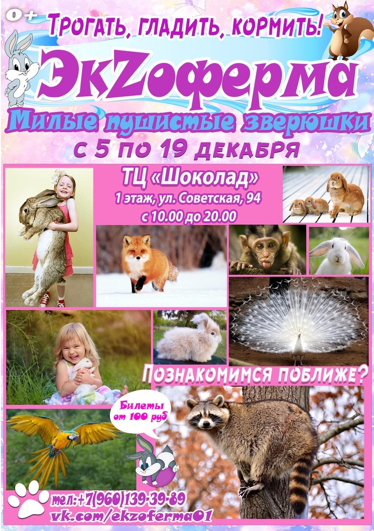 Выставка милых пушистых животных "Экзоферма"